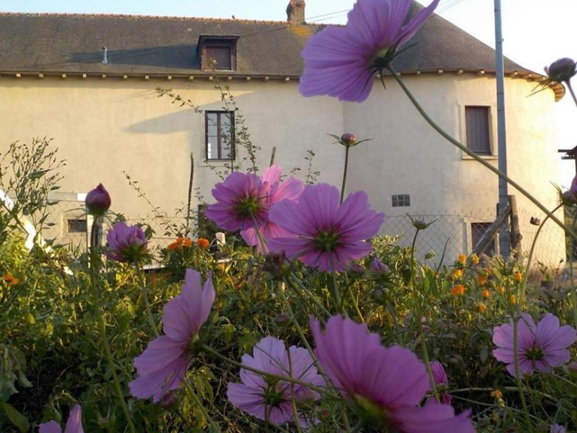 Manoir De La Guignardiere - Charme Et Douceur Chavagne Exterior photo